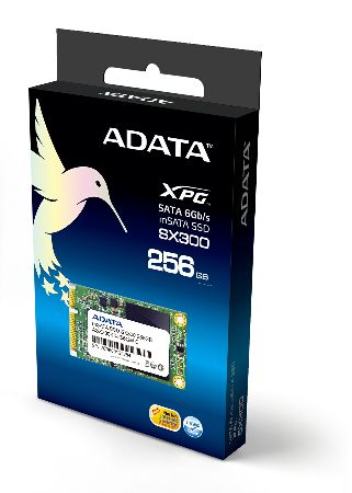 P mSATA_SX300_256GB_L